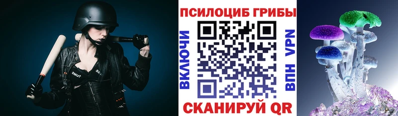 купить  цена  Керчь  Галлюциногенные грибы Cubensis 