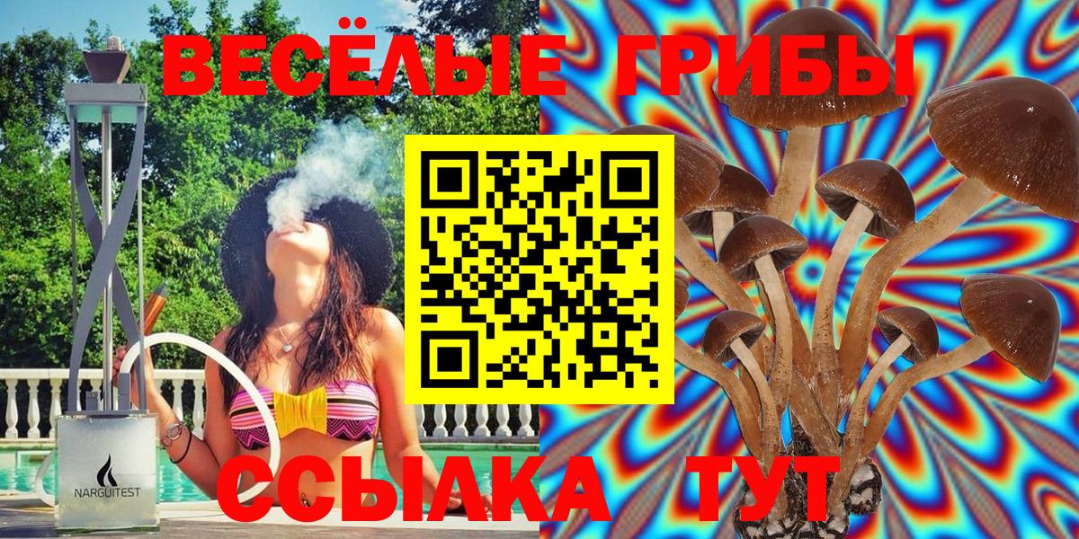 Псилоцибиновые грибы GOLDEN TEACHER  Керчь  Псилоцибиновые грибы GOLDEN TEACHER 