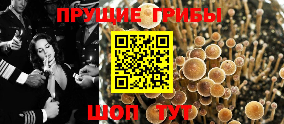 Галлюциногенные грибы мухоморы  Вход с VPN  хочу наркоту  Керчь  Галлюциногенные грибы Cubensis 